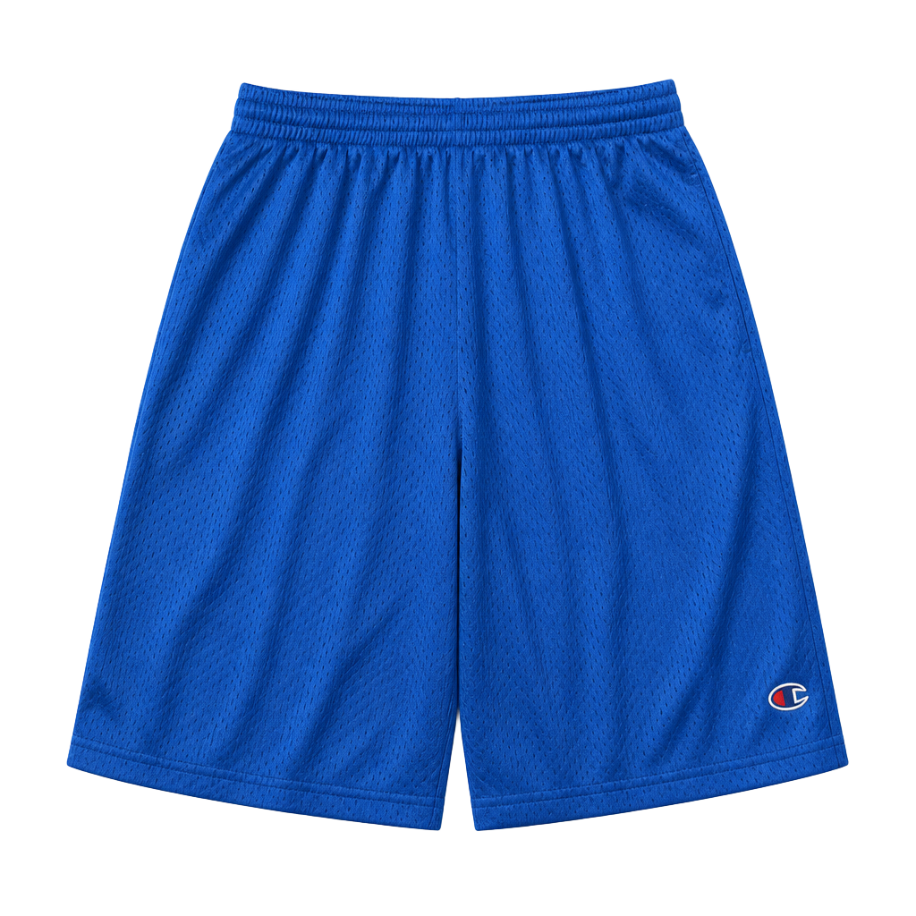 Vintage champion Men's Blue Mesh Athletic Shorts fits like medium 1