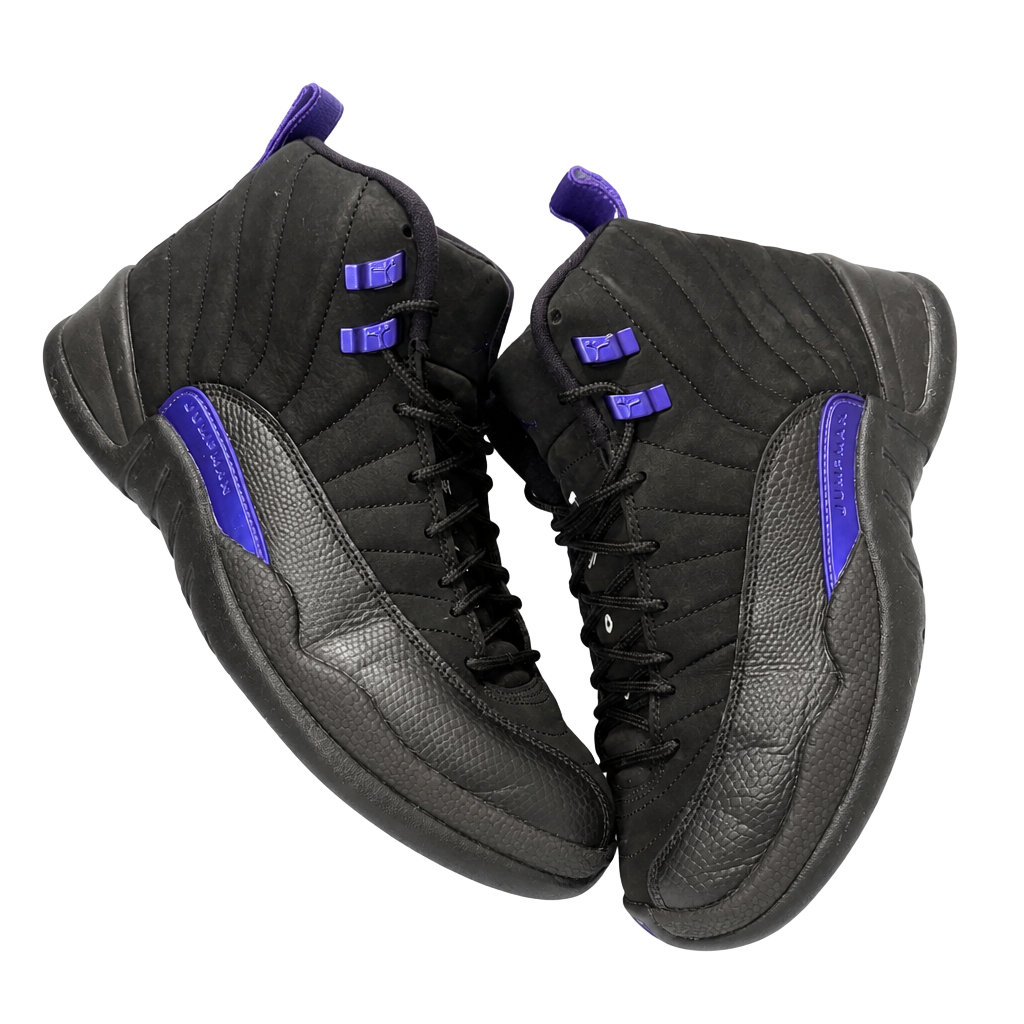 Nike Air Jordan 12 Retro Dark Concord Black CT8013-005 Size 10 1