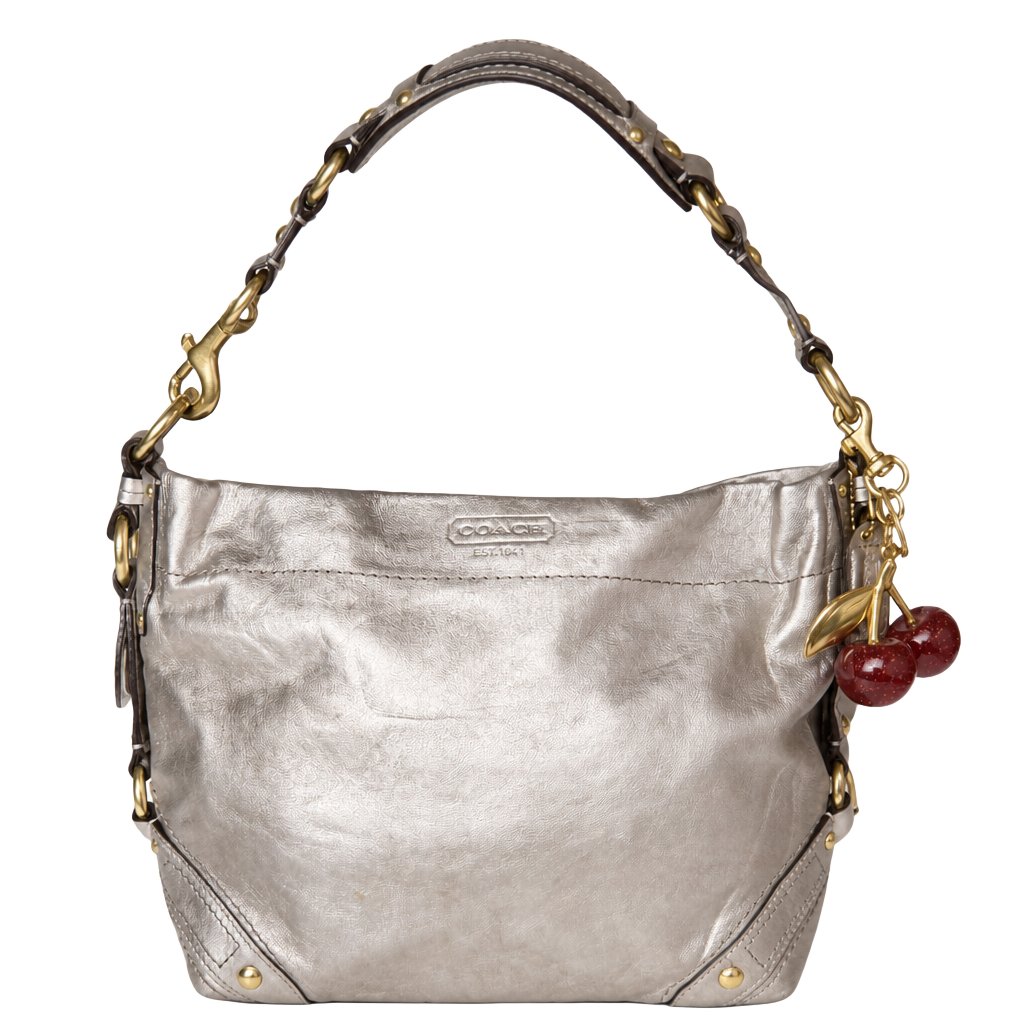 Coach Zoe Hobo 11870 Metallic Silver Leather Shoulder Bag 1