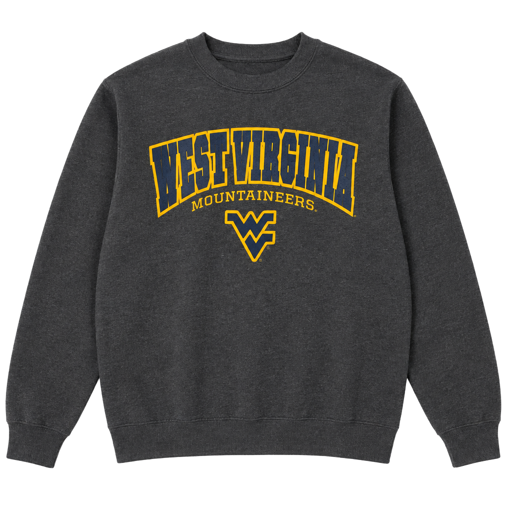 Champion West Virginia Mountaineers Sweatshirt Size S Gray Eco Fleece 1