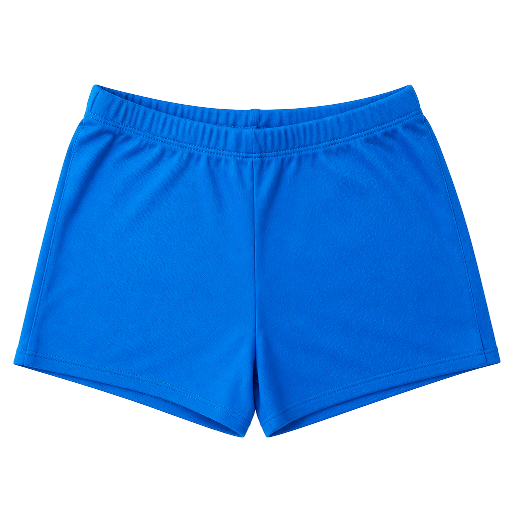 Chassé Blue Solid Athletic Cheer Shorts Adult Large 1