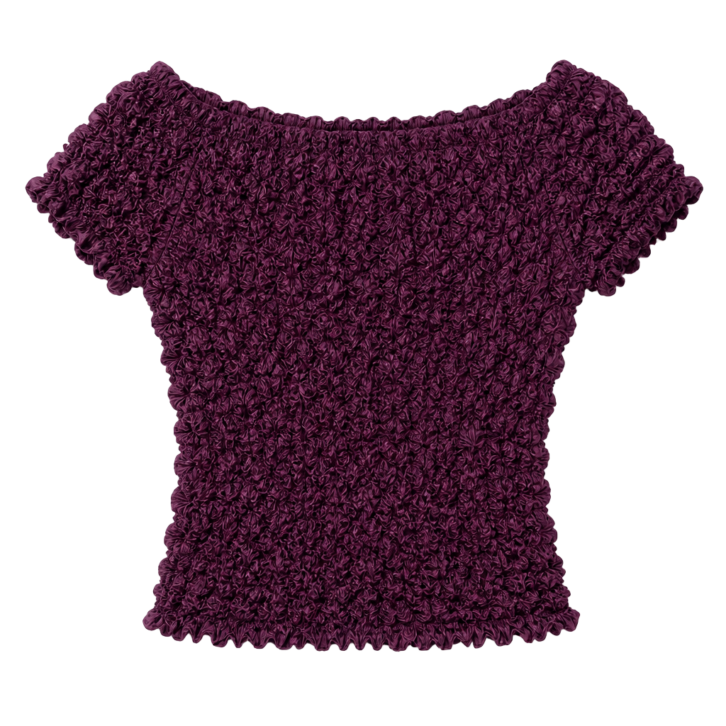 Vintage Radiance Popcorn Texture Crinkle Short Sleeve Top 1