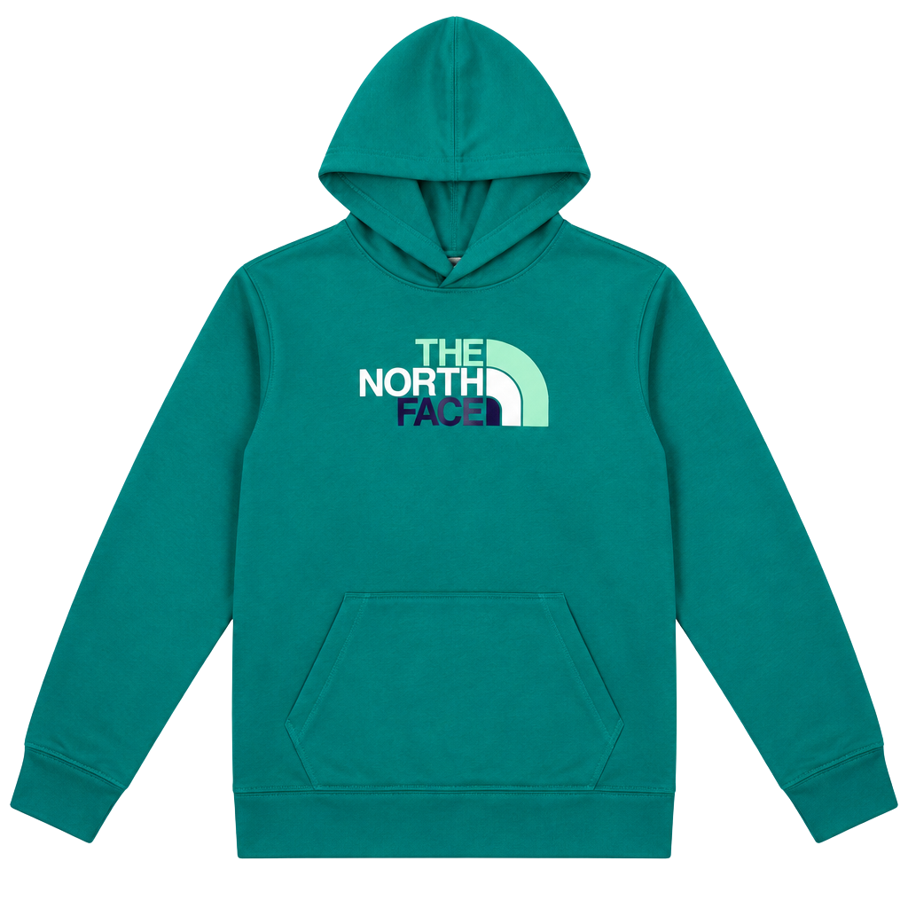 The North Face Half Dome Pullover Hoodie Teal Green 1