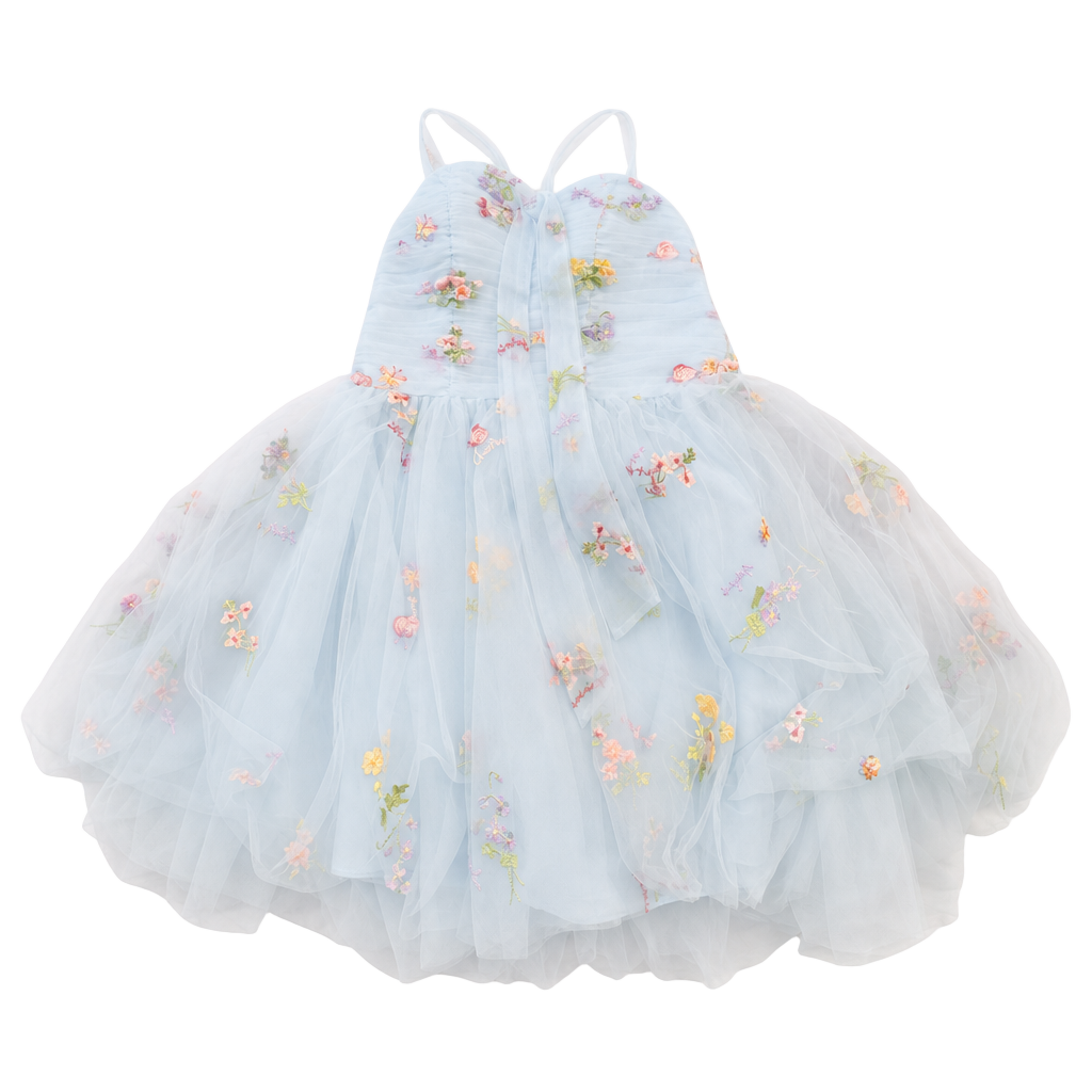 Sidajoli Blue Tulle Floral Embroidered Corset Homecoming Fairy Dress 1