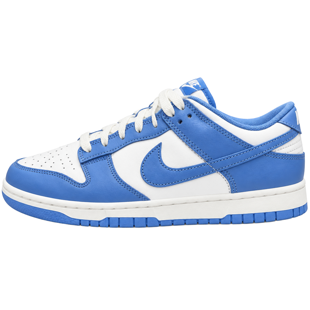 Nike Dunk Low Retro Polar Blue White DV0833-400 1