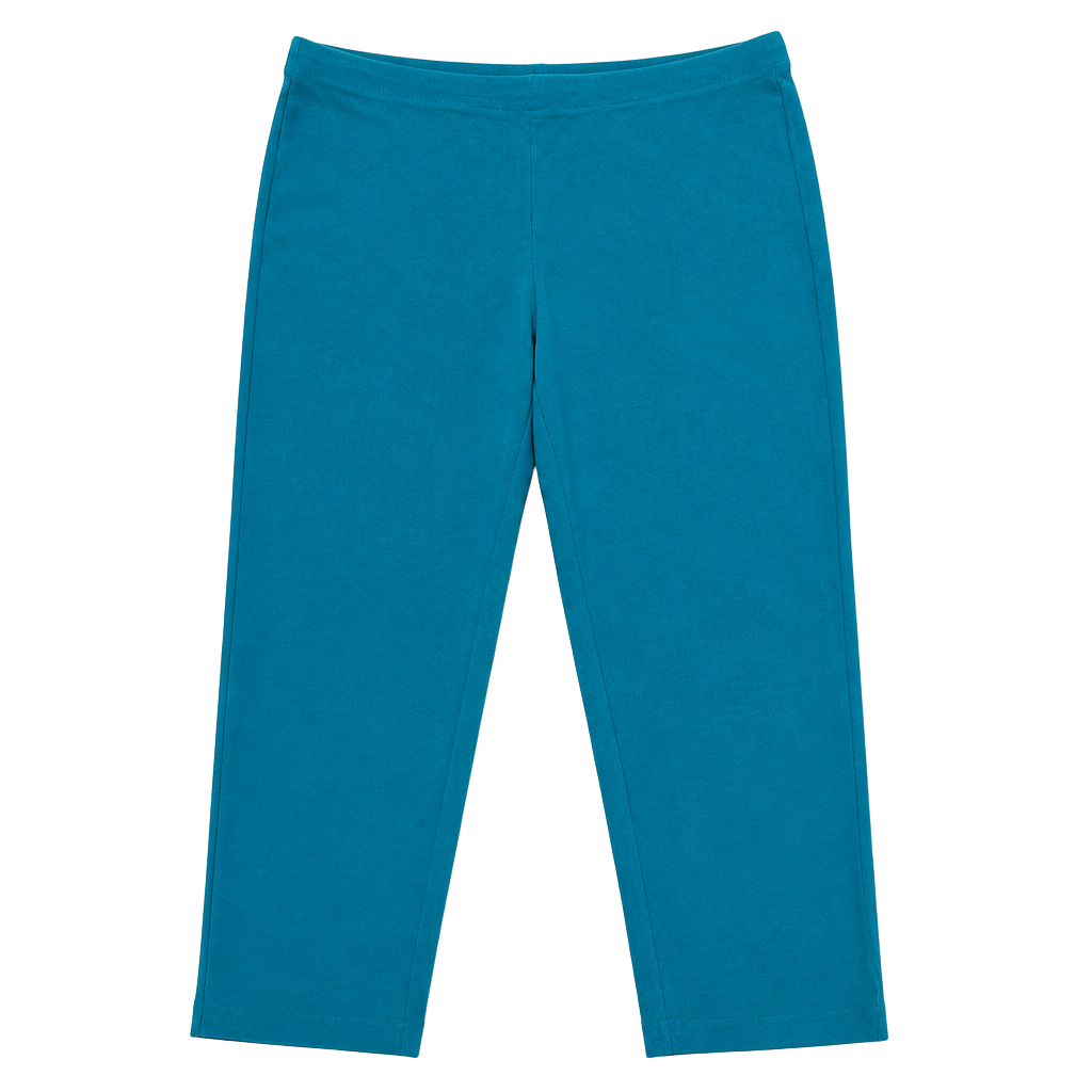 Eileen Fisher Jewel Slim Ankle Pant Size XL Teal Blue New with Tags XL 1