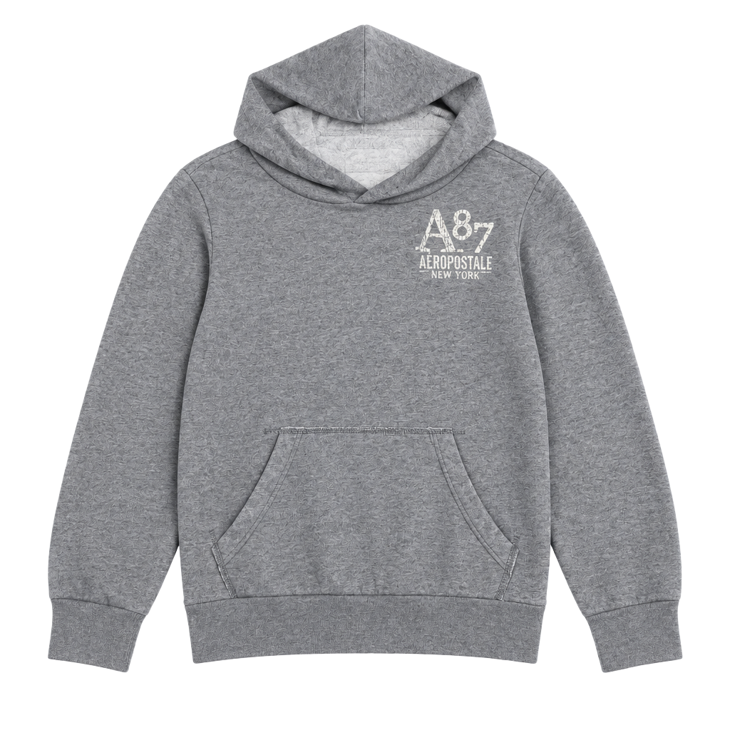 Aeropostale A87 Hoodie Size S Gray 1