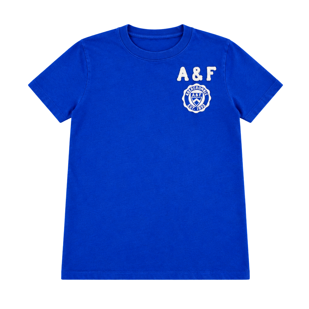 Abercrombie & Fitch A&F Graphic T-Shirt Size S Blue Muscle Fit 1