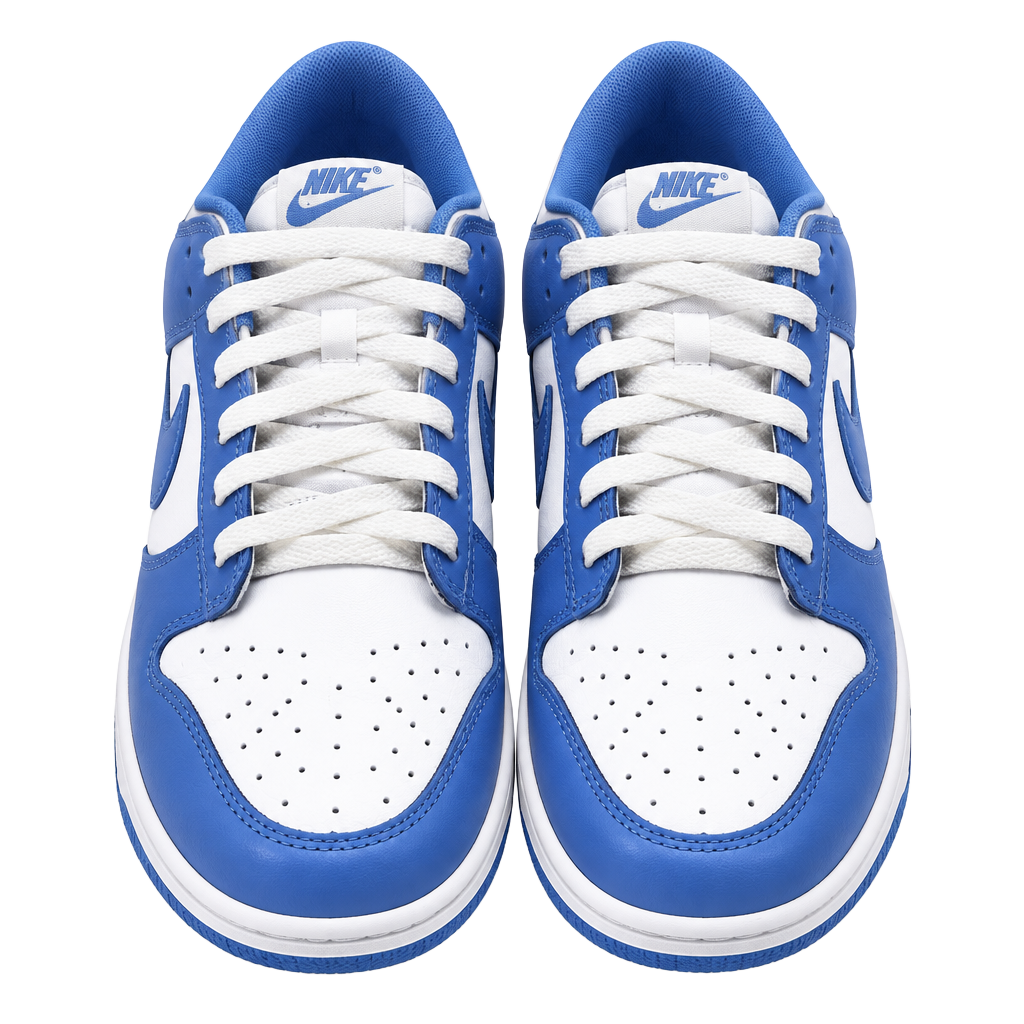 Nike Dunk Low Polar Blue Size 10.5 Sneakers White Leather 1