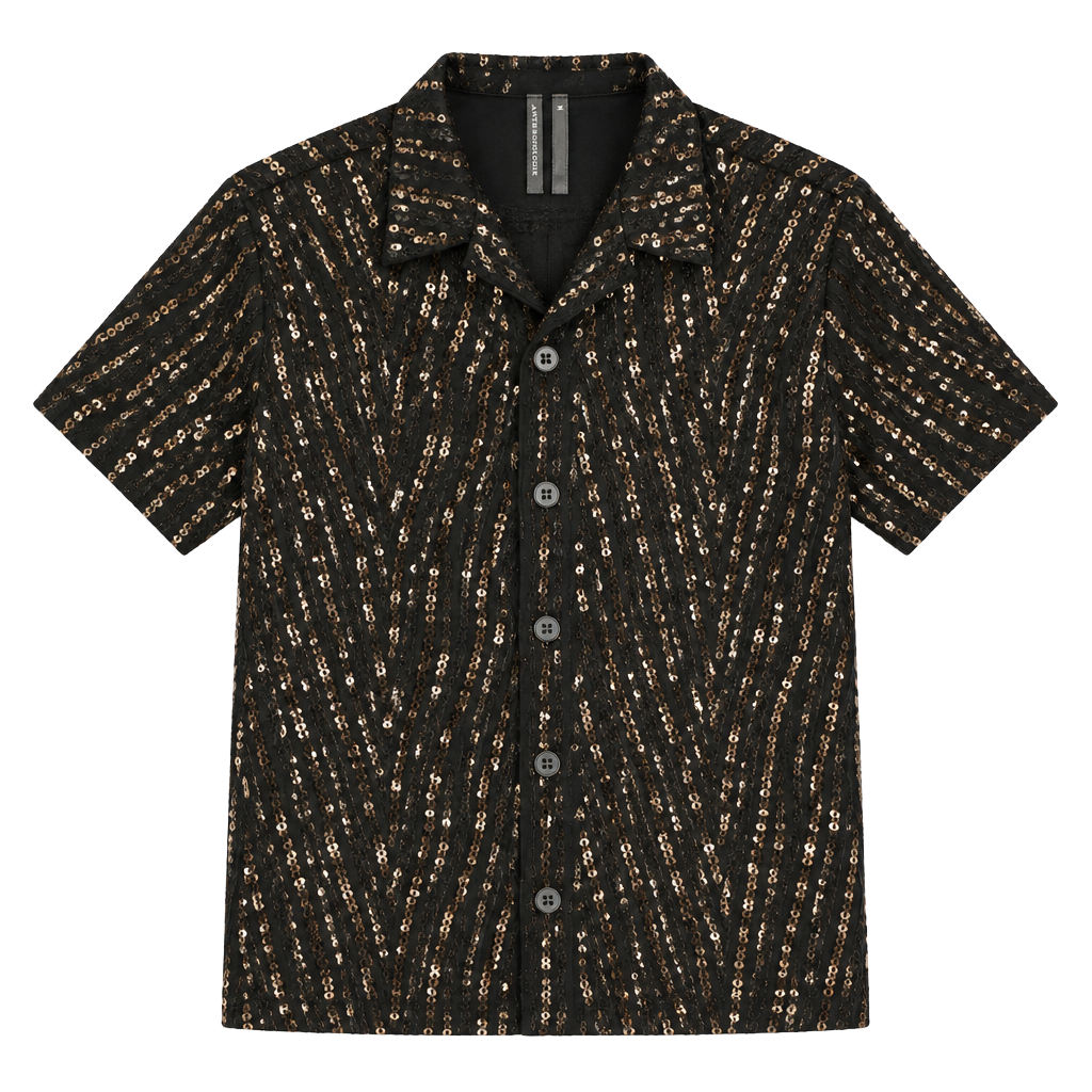 Anthropologie Remie Button Down Sequin Blouse Size M 1