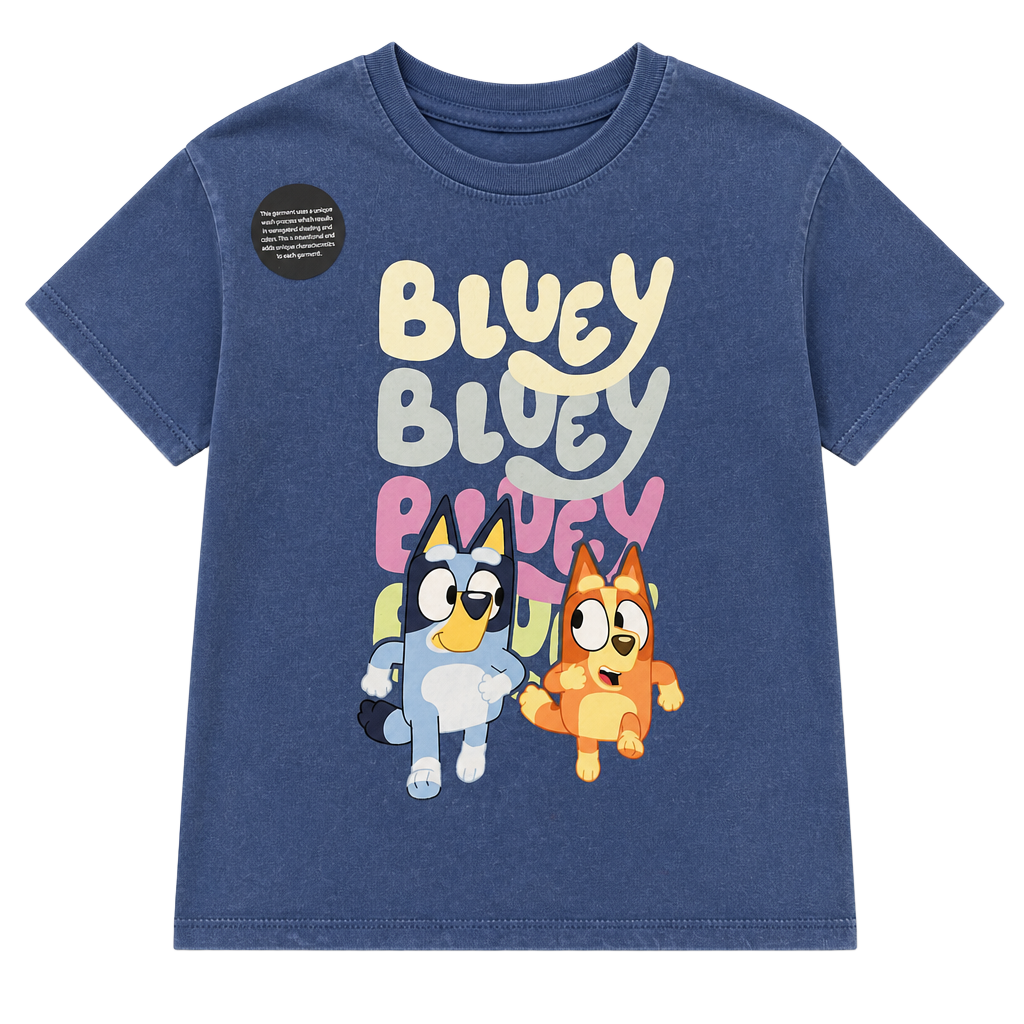 Bluey Graphic T-Shirt Mineral Washed Size 4t 1