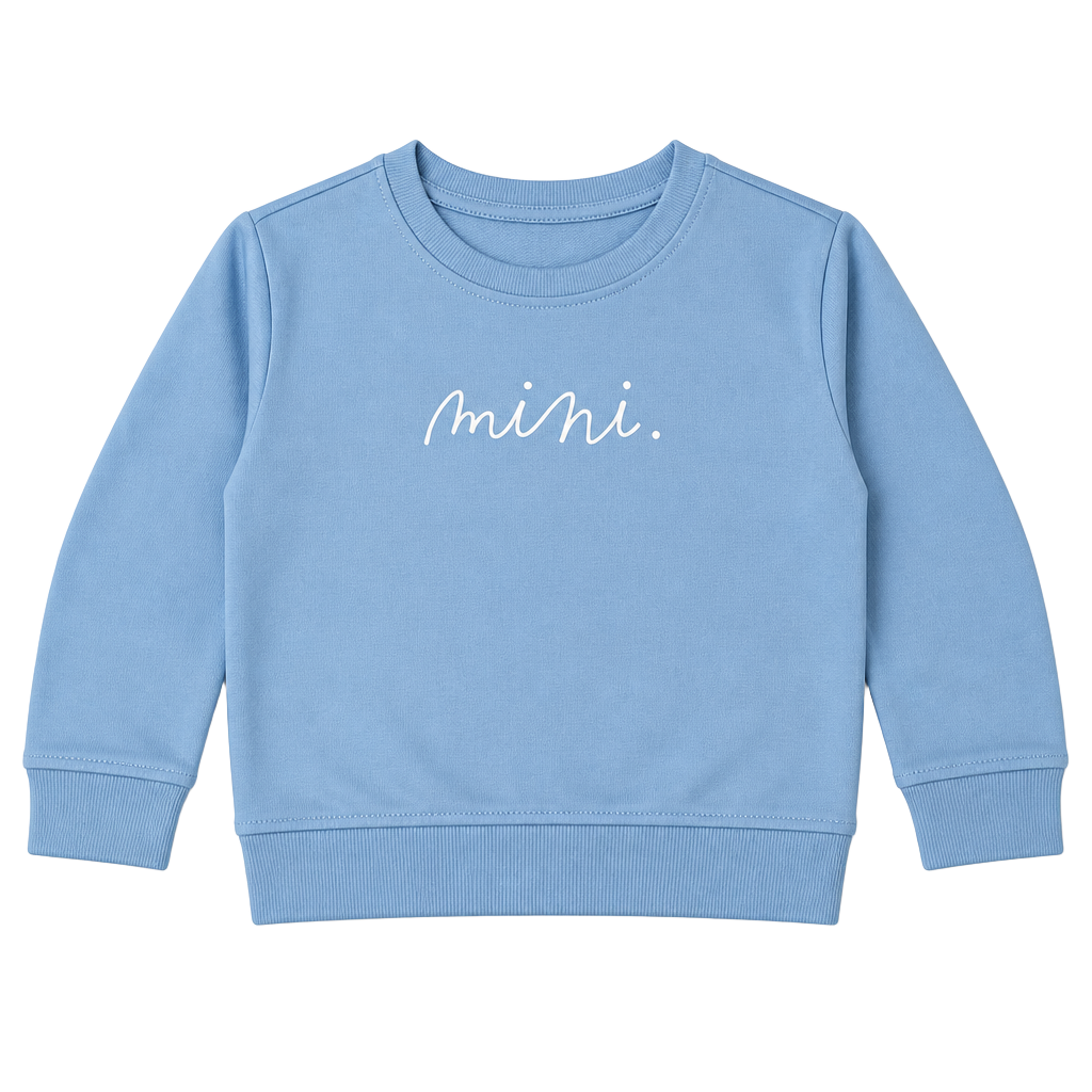 Size 3t
Rae Dunn Mini Sweatshirt 1