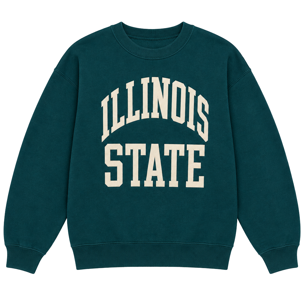 Vintage Fruit Of The Loom Illinois State Sweatshirt XL Teal Graphic Crewneck 1