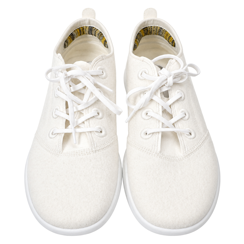 allbirds 1