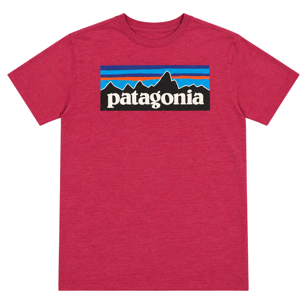 Patagonia T-Shirt Pink Logo Graphic 1