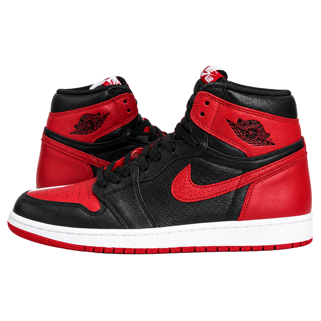 Nike Air Jordan 1 Retro High OG NRG Homage to Home Size 11 1