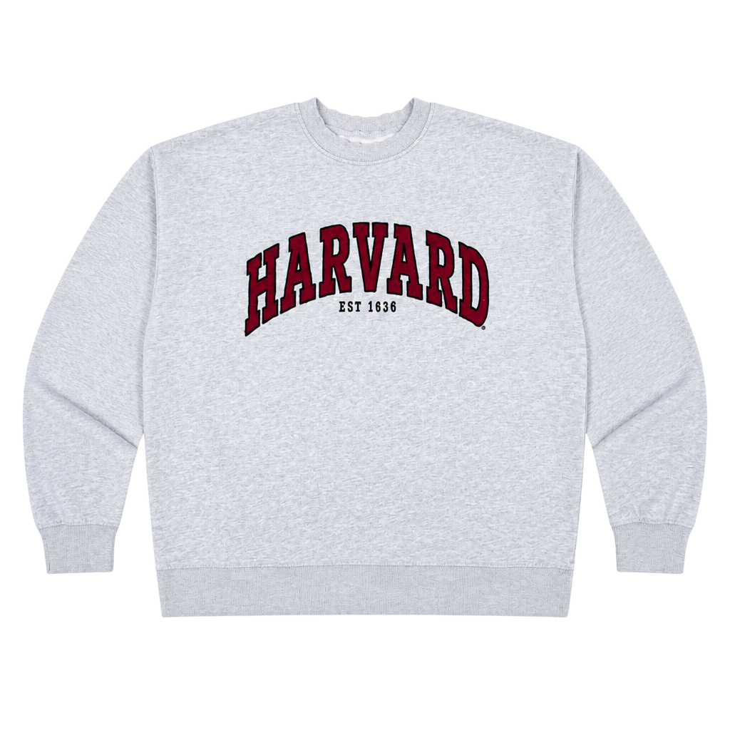 H&M Harvard University Gray Sweatshirt with Embroidered Logo 1