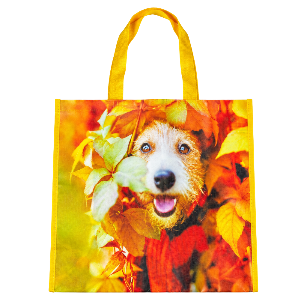 Kohl's Large Reusable Tote Bag Dog Autumn Leaves 1