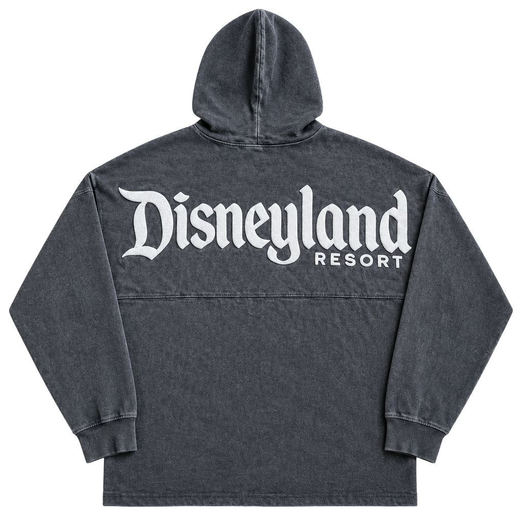 Disney Spirit Jersey Disneyland Resort Hoodie Size L Gray 1