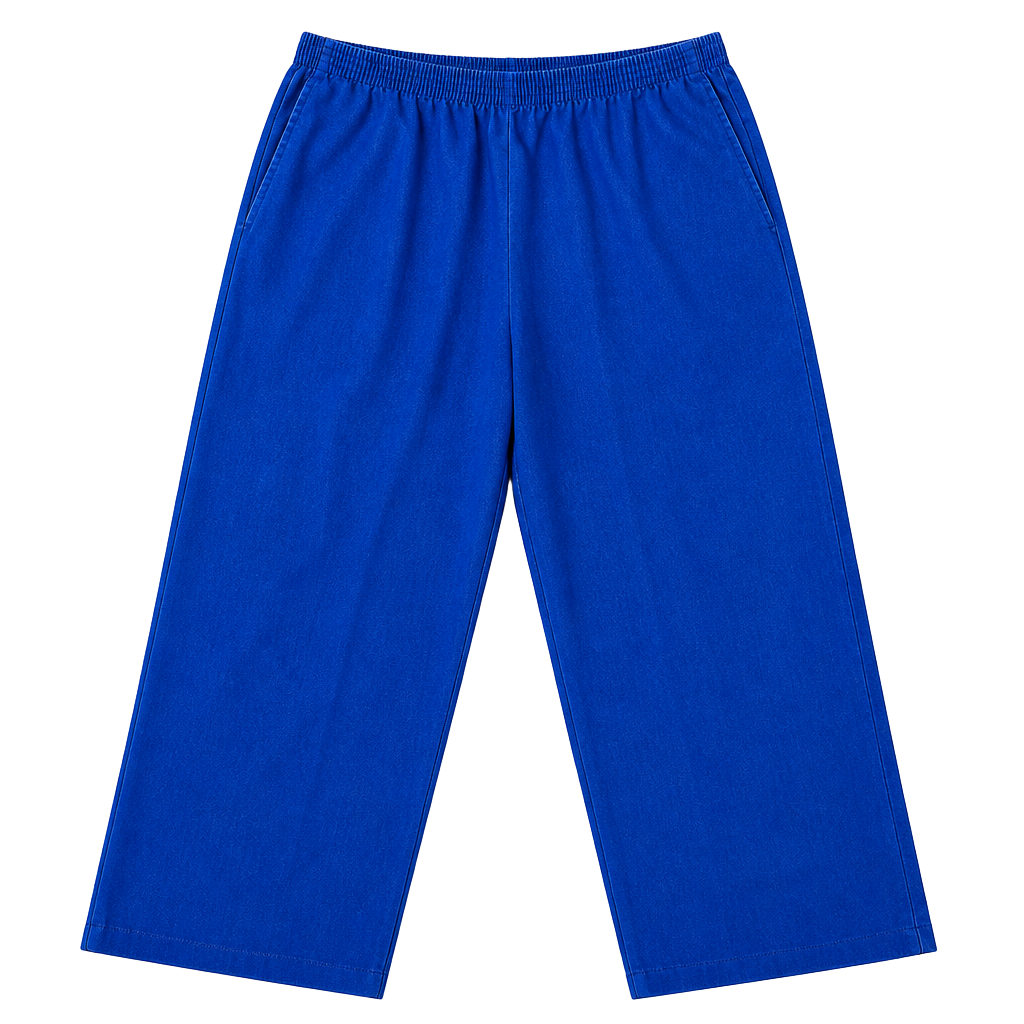 Z- Alfred Dunner Pull-On Pants Size 16P Blue Denim Elastic Waist 1