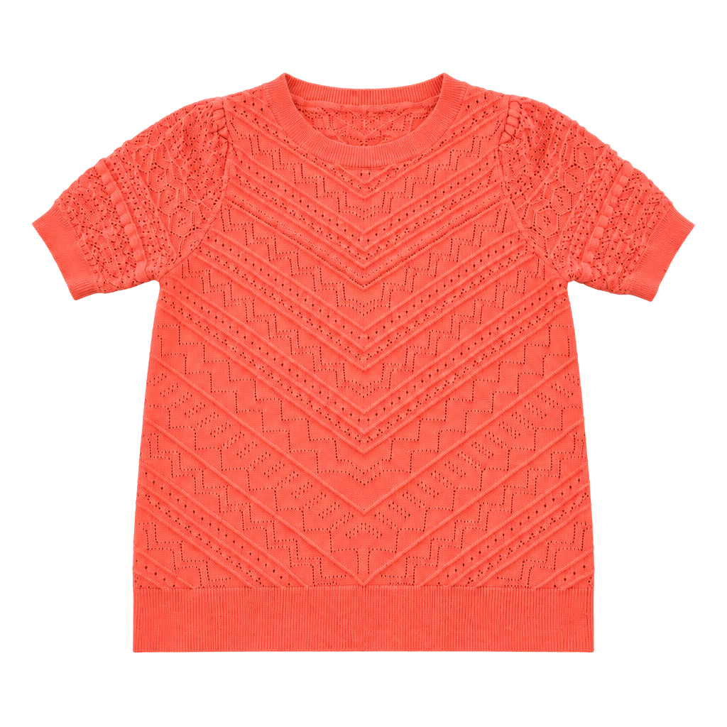 LOFT Short Sleeve Pointelle Sweater Size S Coral 1