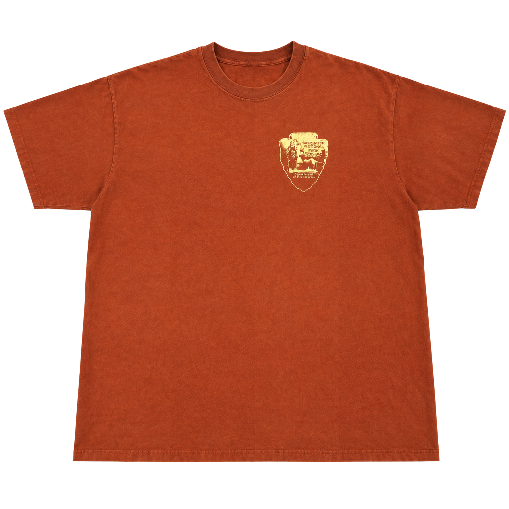 Vintage Y2K Champion Sasquatch National Park T-Shirt XXXL Rust Brown Graphic 1