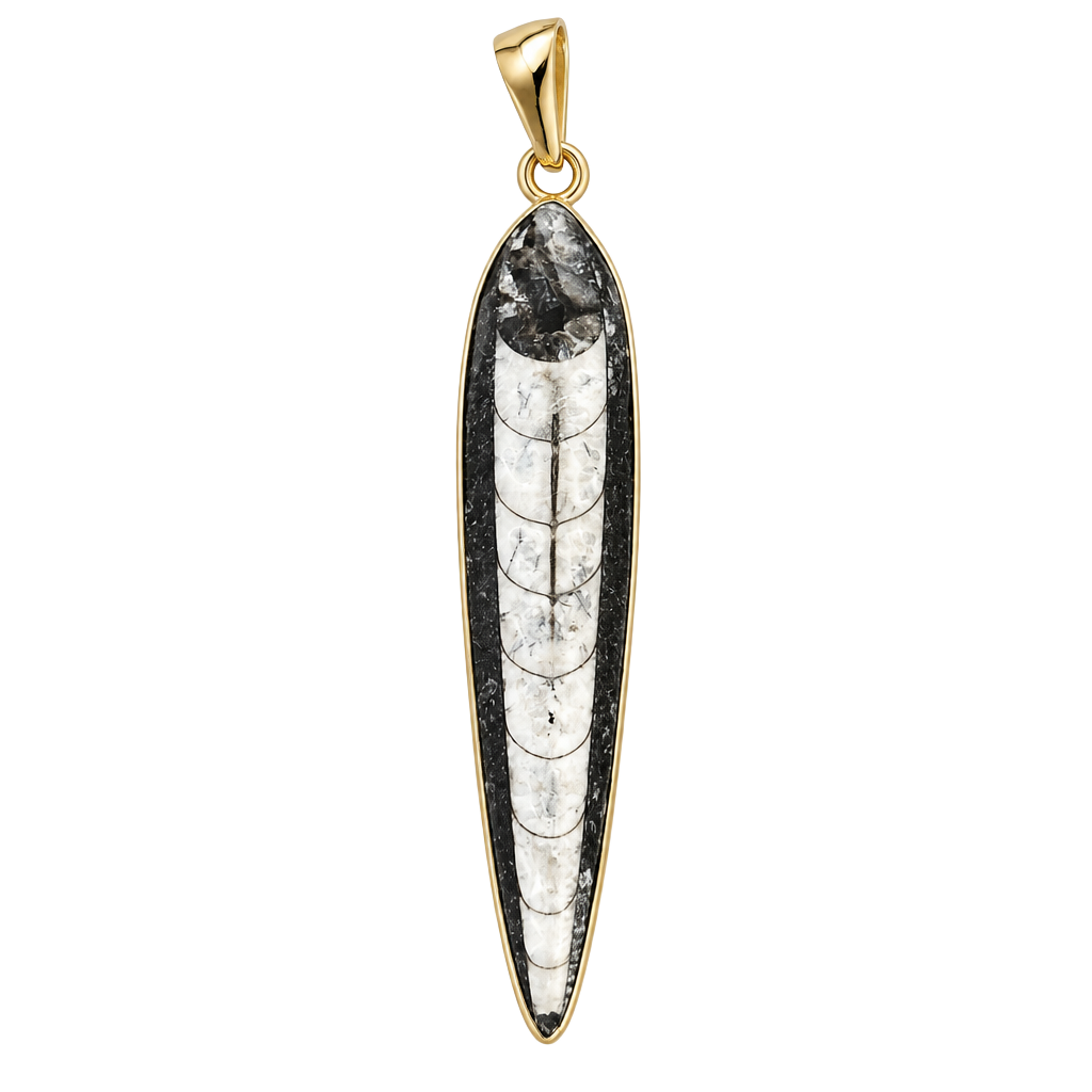 Charles Albert Orthoceras Fossil Pendant Gold Tone 1