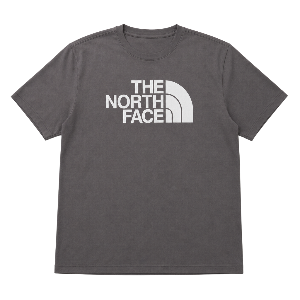 Gorpcore Outdoorstyle The North Face Men's Grey T-Shirt 1