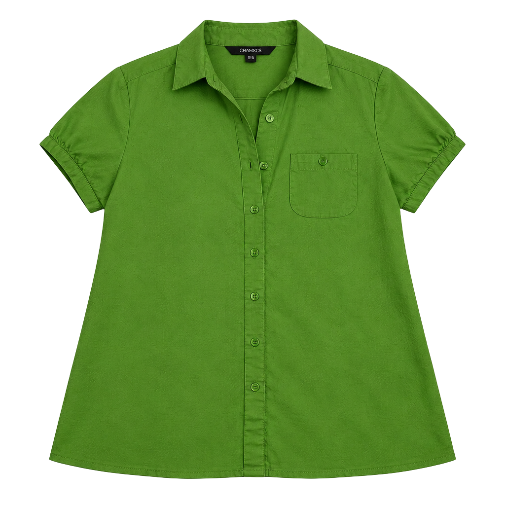 Corporatechic Classicstyle Chadwicks Button Down Shirt Size 4 1