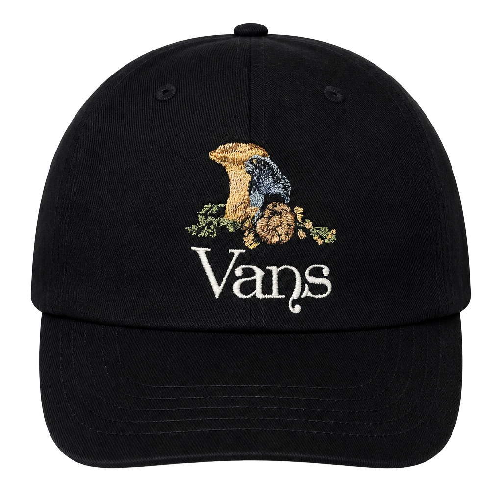 Vans Trippy Shallow Unstructured Snapback Hat with Mushroom Embroidery 1