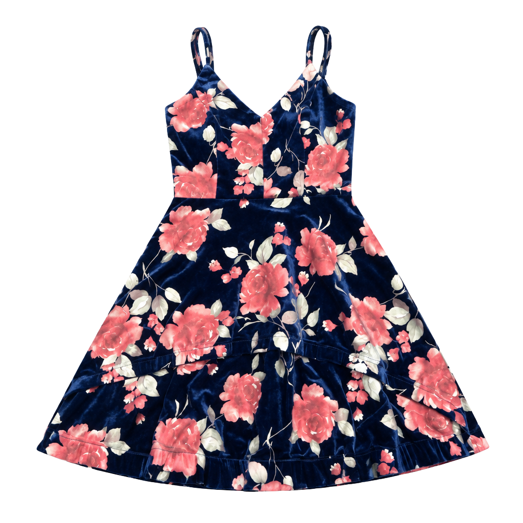 Xtraordinary Velvet Floral dress Size 5 Blue Pink Rose 1