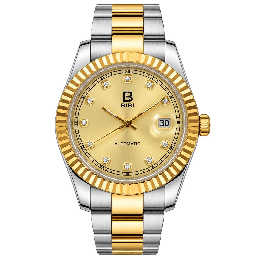 Bibi Automatic Pro Diver Stainless Steel 1