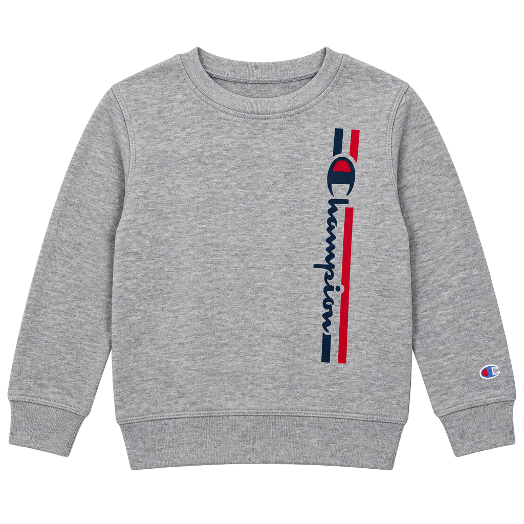 Champion Sweatshirt Size 4T Gray Vertical Logo Crewneck 1