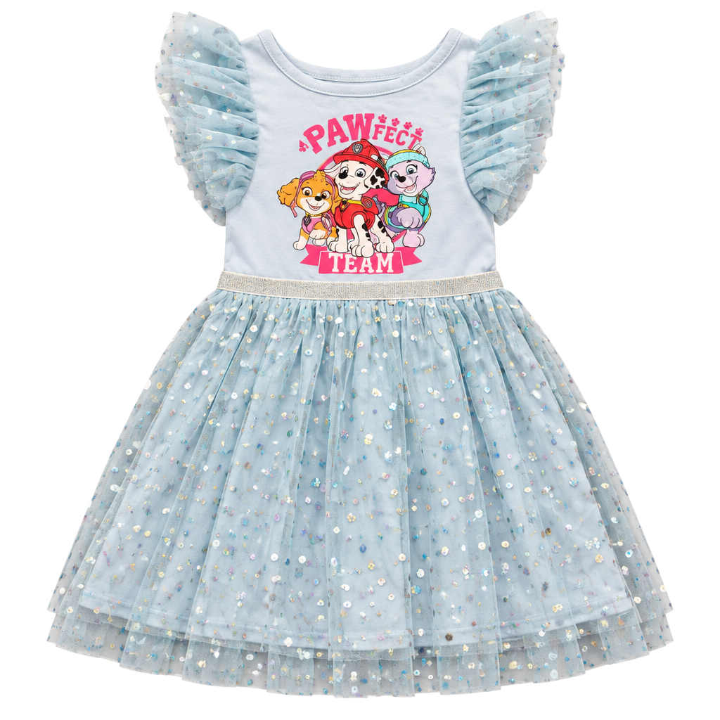 Nickelodeon Paw Patrol Tutu Dress Size 4T Blue 1