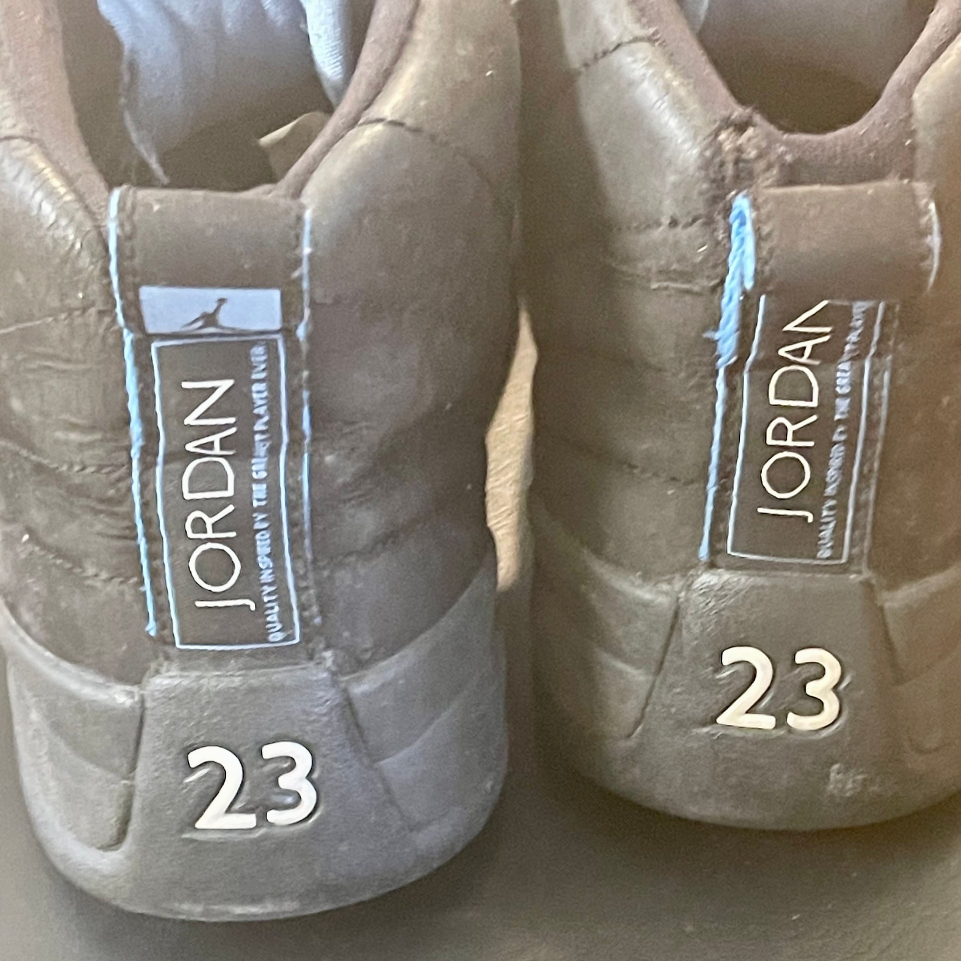 Air Jordan 12 Retro Nubuck (2009) 6