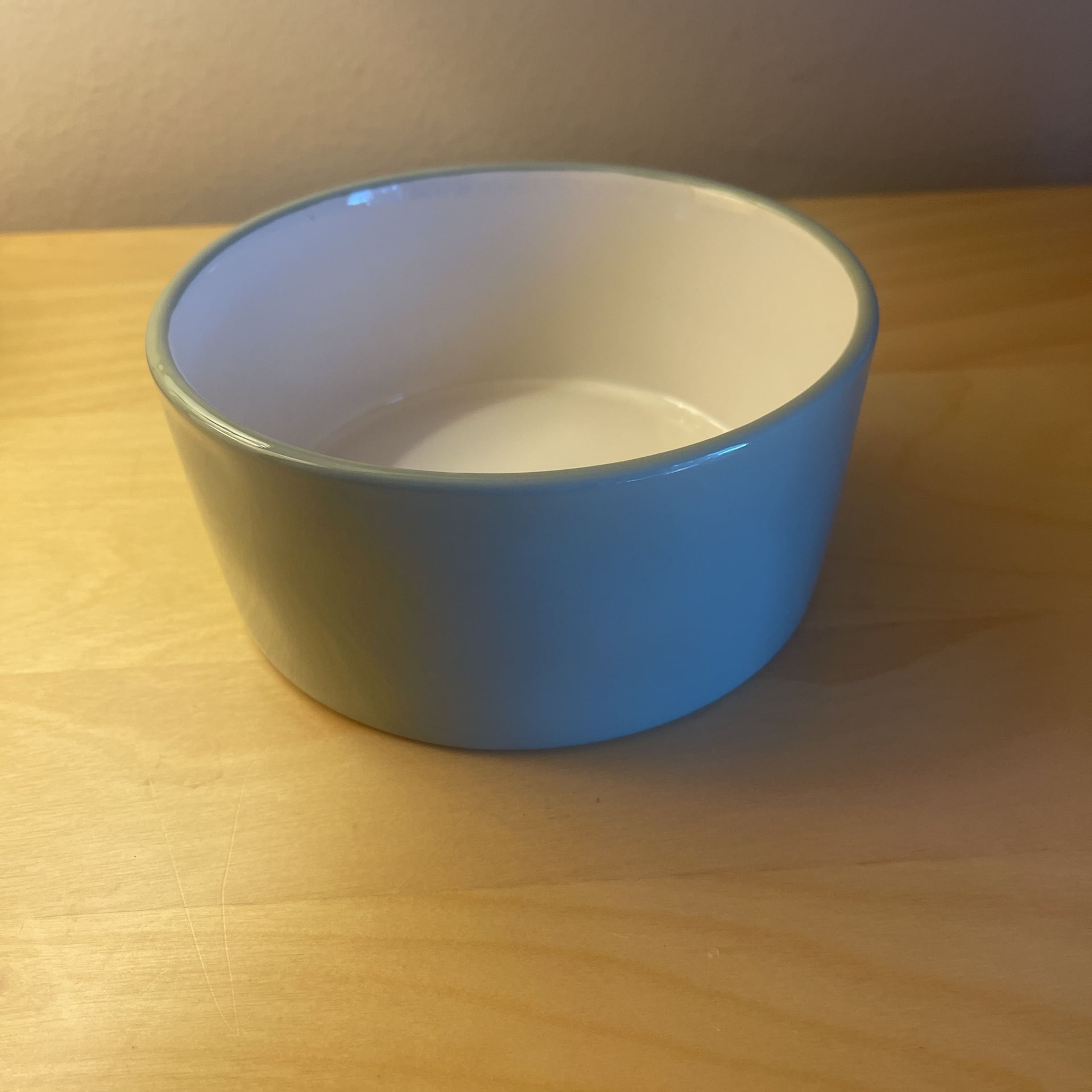 Rae Dunn Artisan Collection Nibble Ceramic Dog Bowl 6