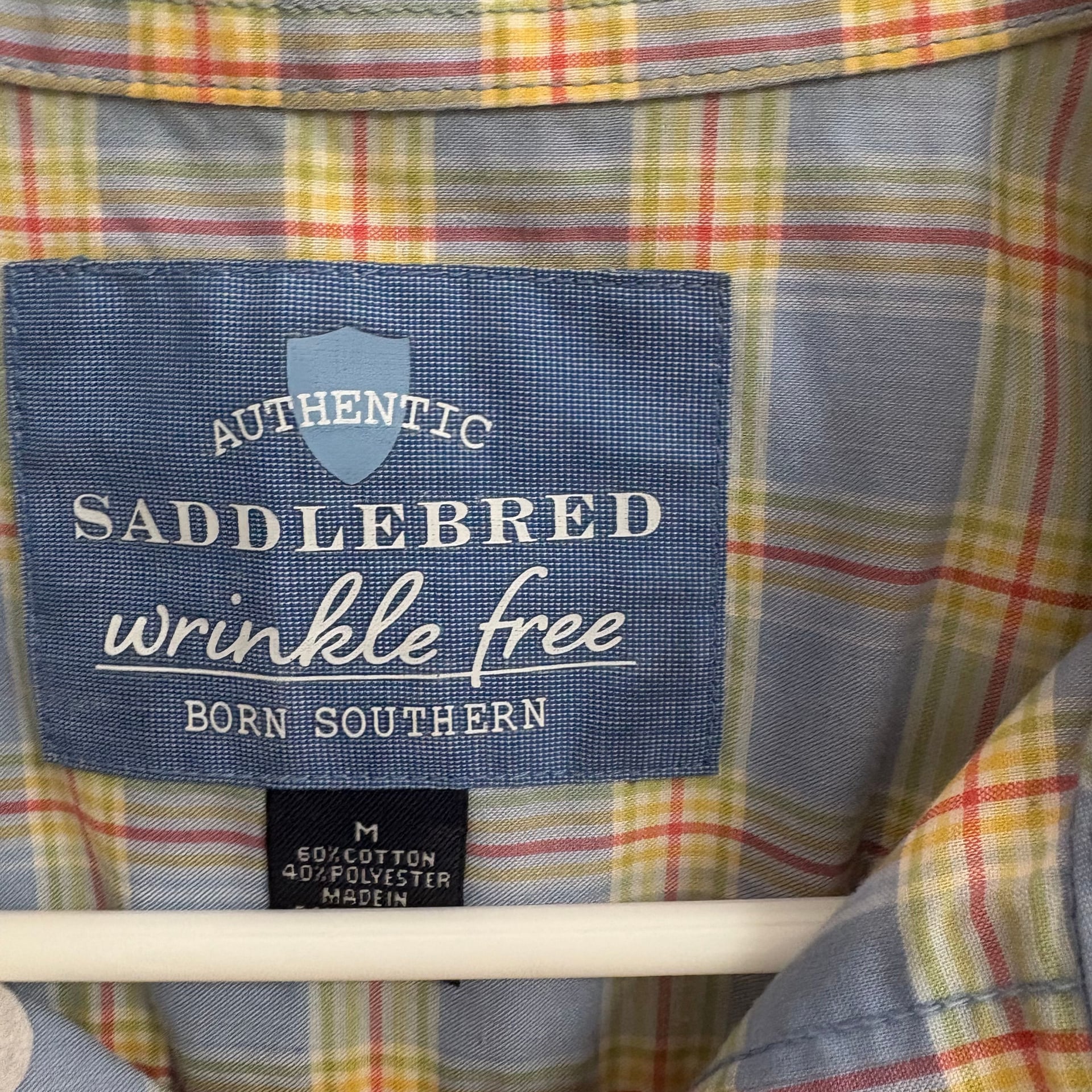 Saddlebred 2
