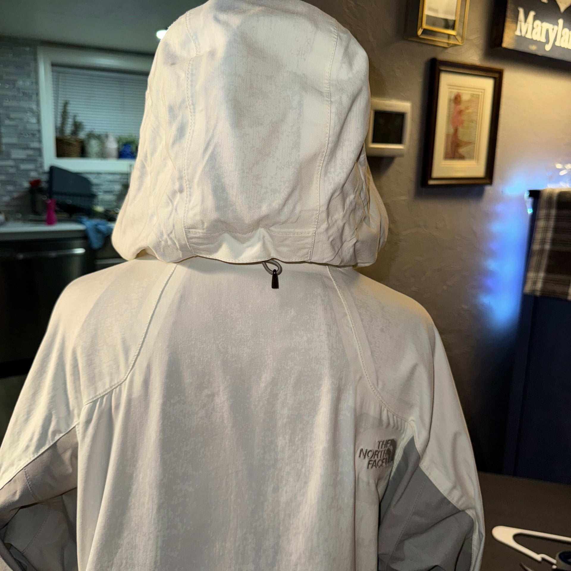 The North Face Women's HyVent Varius Guide Jacket 3