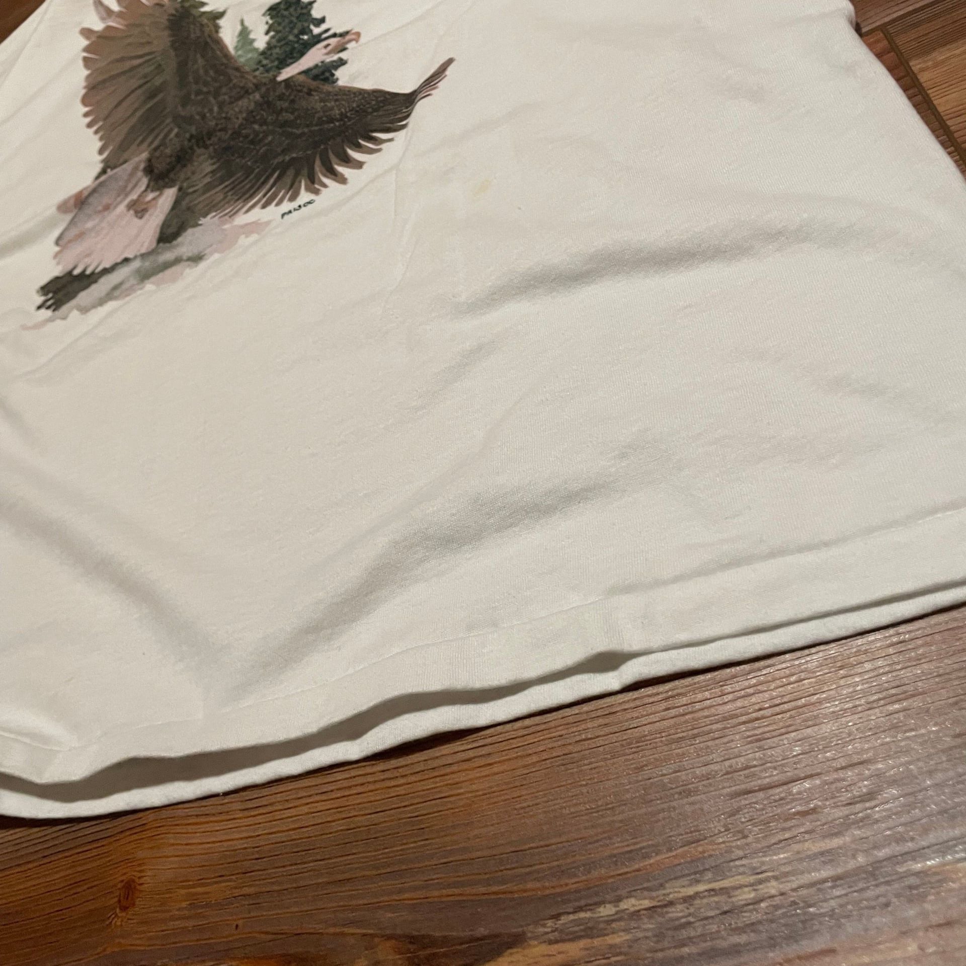Vintage Hanse Men's Shirt with Eagle in Flight 2