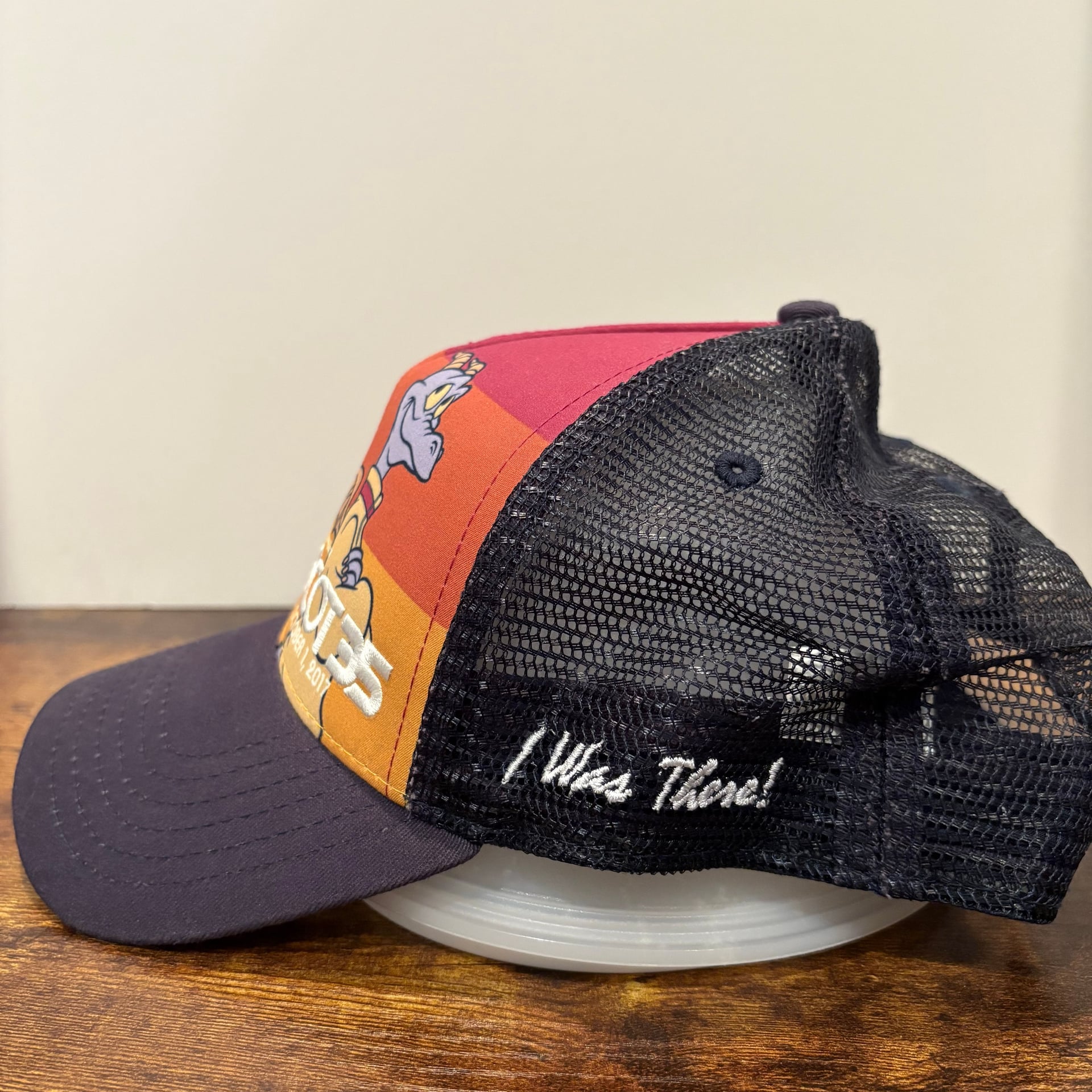 Disney Epcot 35 Anniversary Limited Edition Hat 3