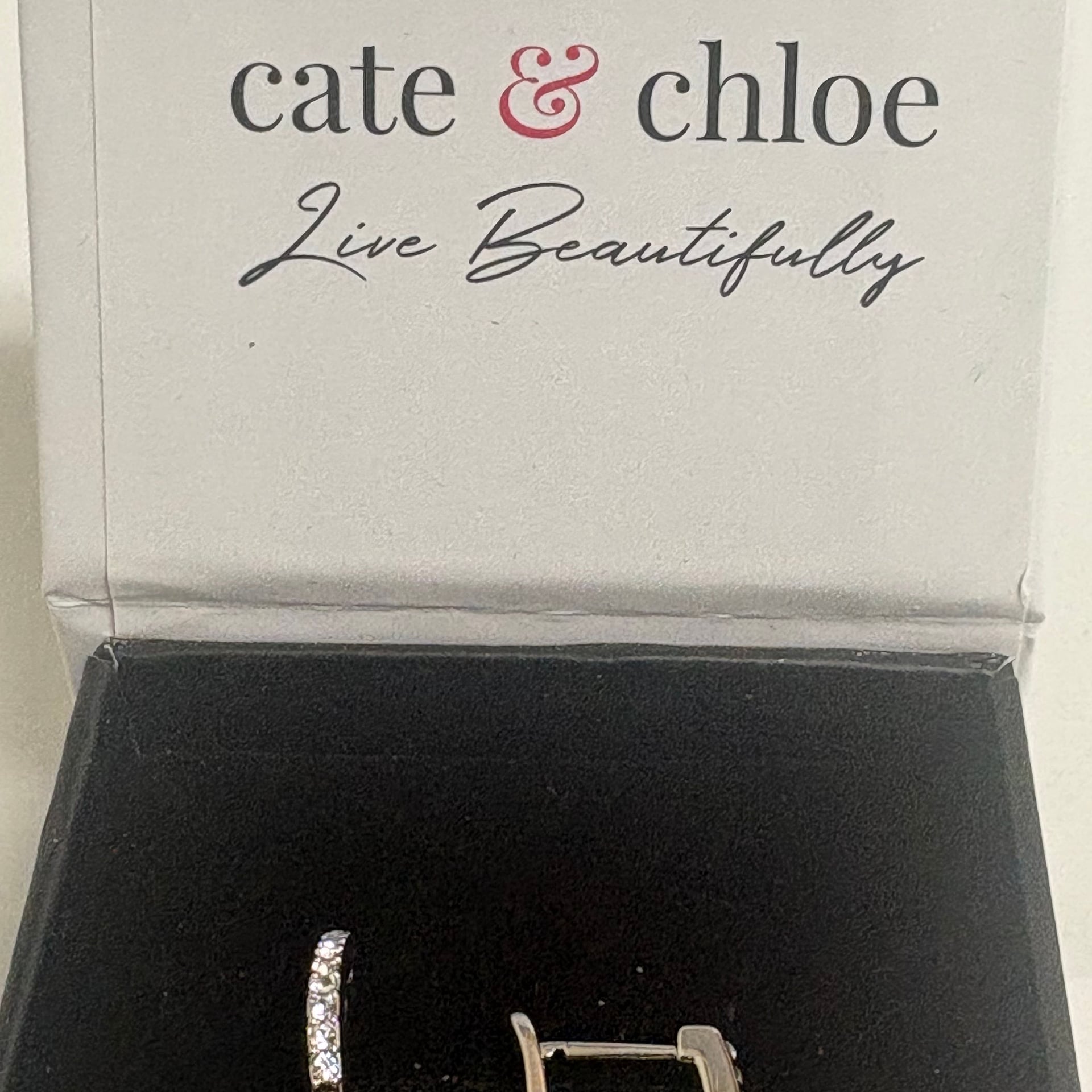 Cate & Chloe McKenzie 18k White Gold Plated Dangling Earrings CZ 6