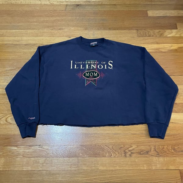 Vintage 90s University of Illinois  Crewneck cropped Sweatshirt
