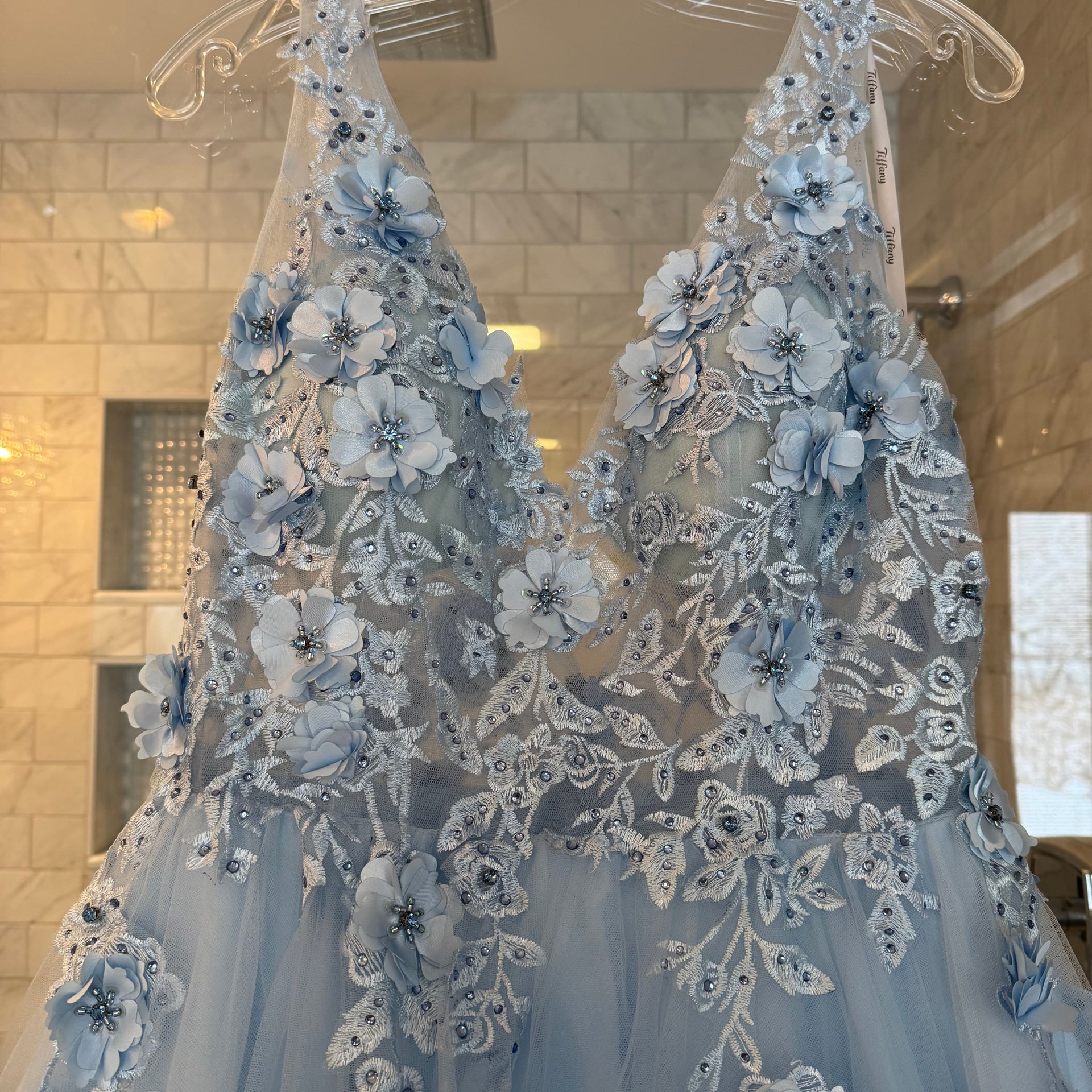Tiffany Designs by Christina Wu 16031 sleeveless Floral Lace Embroidered A-Line Ball Gown 4