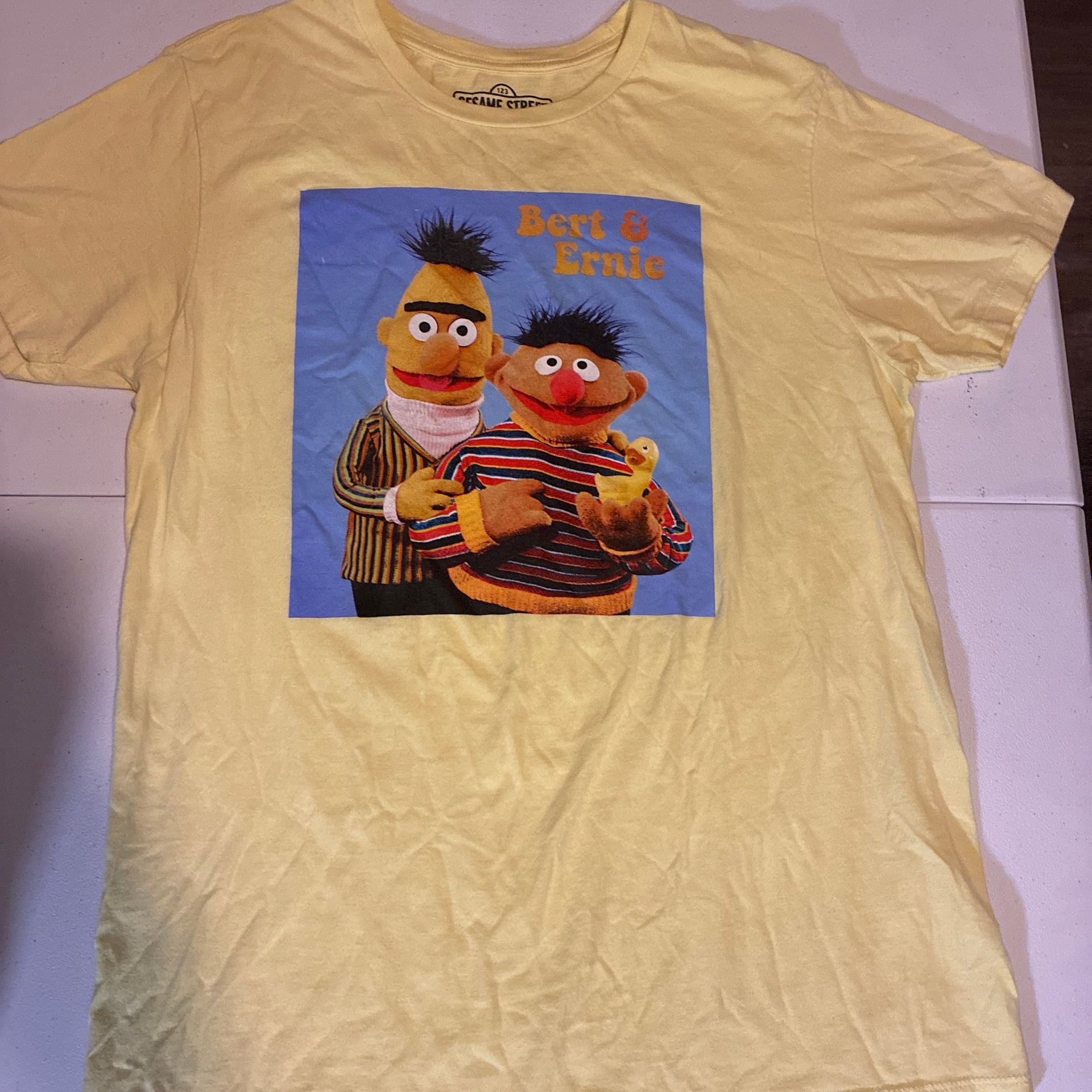 Vintage 2002 Sesame Street Bert & Ernie Promo Graphic T-Shirt 2