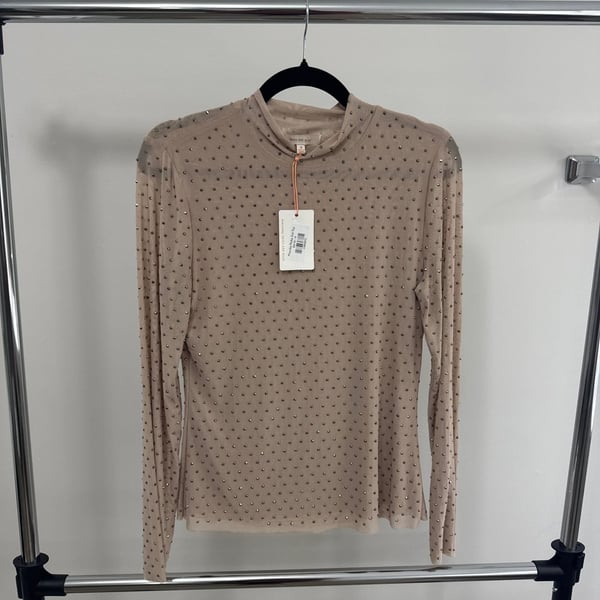 Subtle Shine Embellished Mesh Top in Beige – ,
