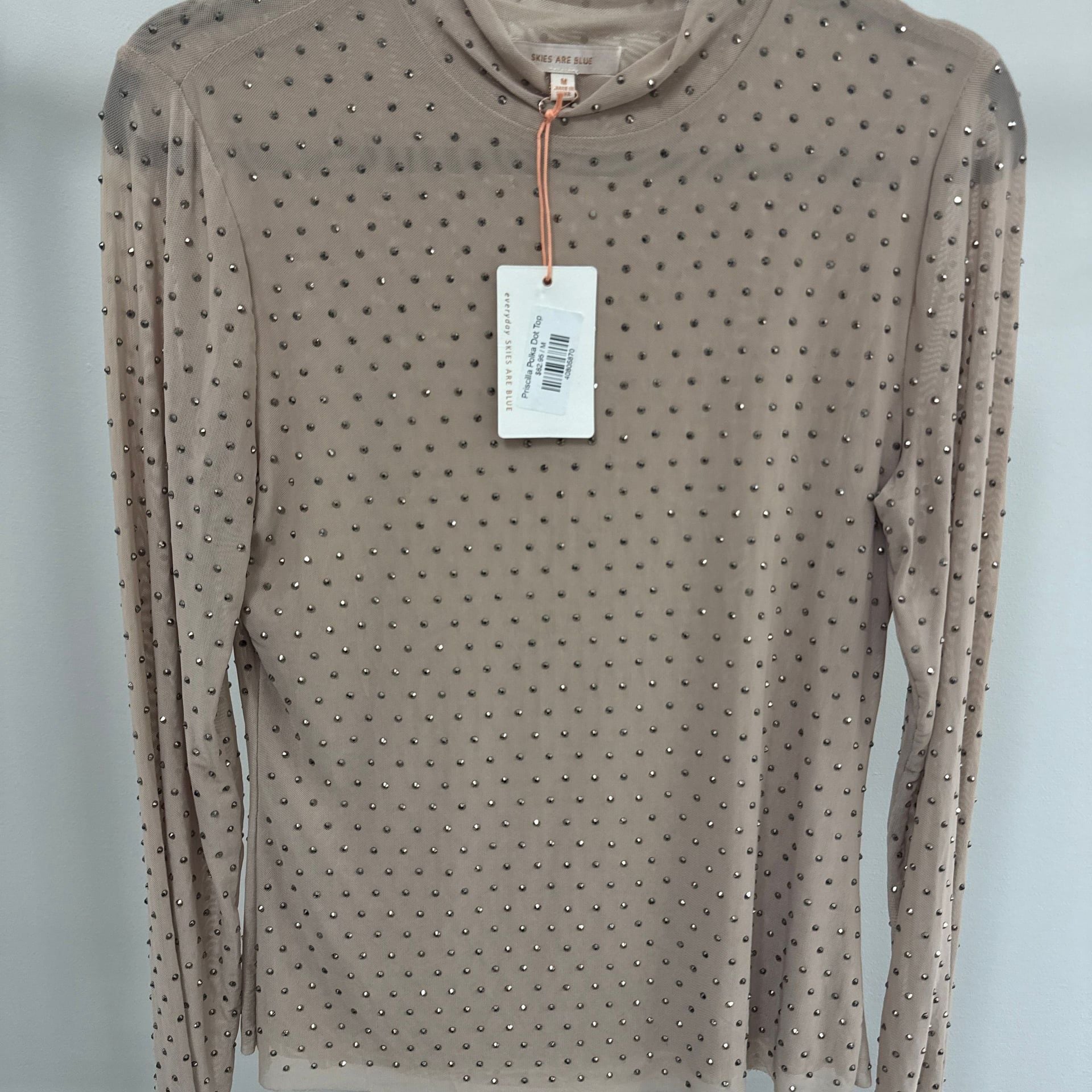 Subtle Shine Embellished Mesh Top in Beige – , 4