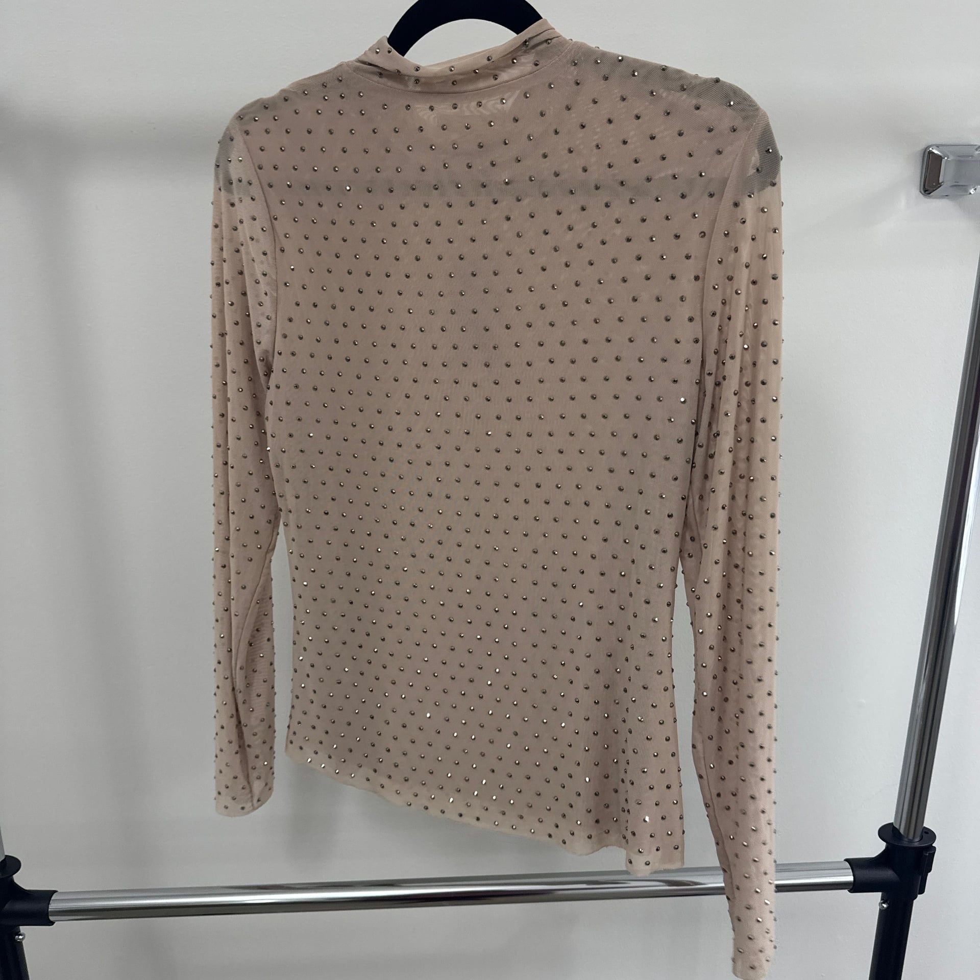 Subtle Shine Embellished Mesh Top in Beige – , 5