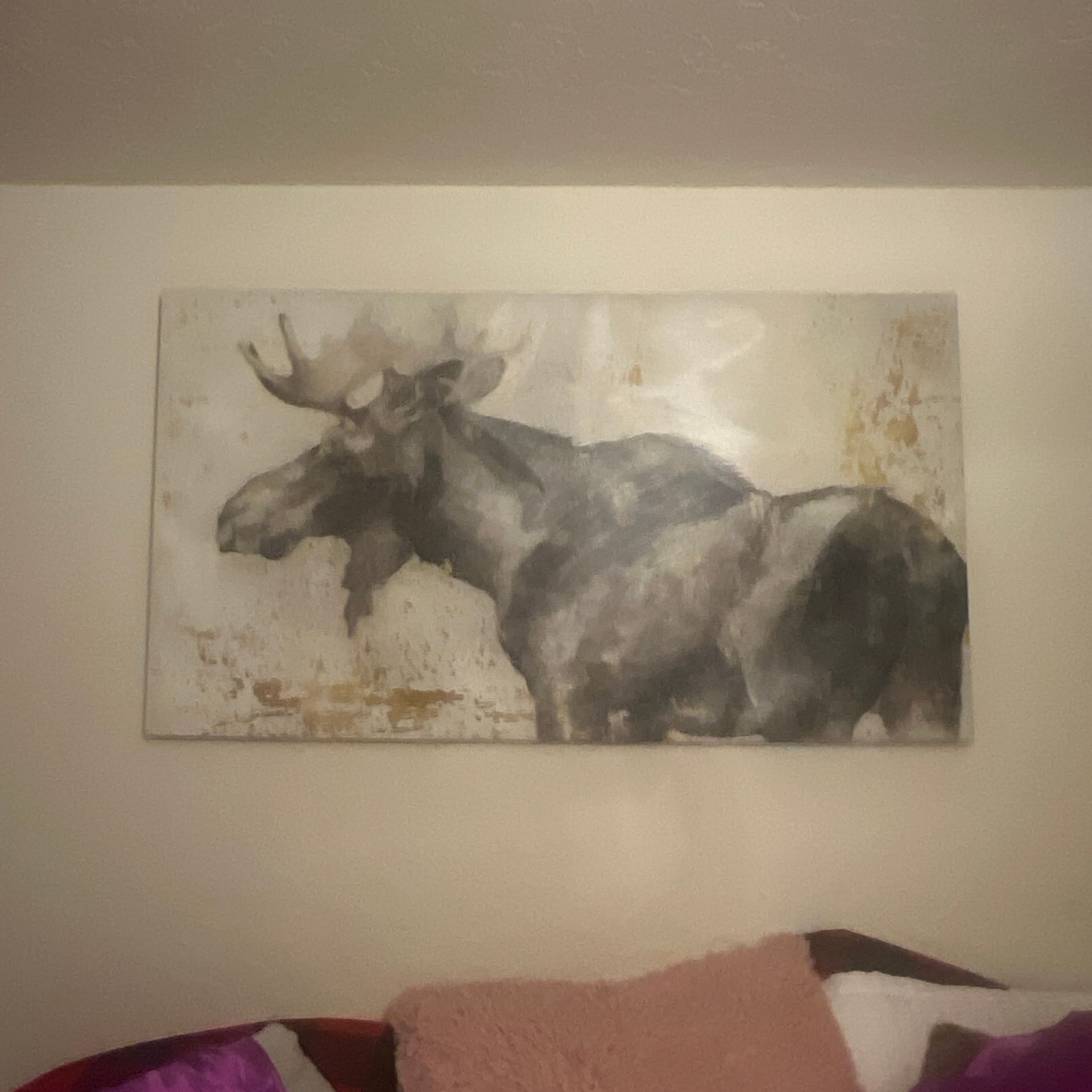 Moose Study Canvas Wall Art by Ethan Harper 1