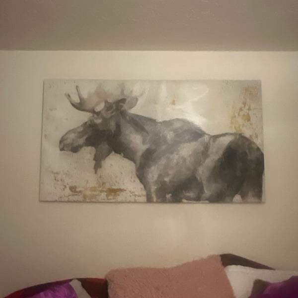 Moose Study Canvas Wall Art by Ethan Harper