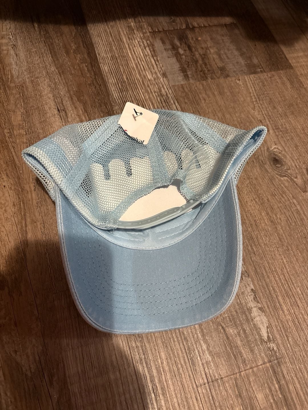 Carnival Cruise Line Alaska Mountain Patch Blue Trucker Hat 3
